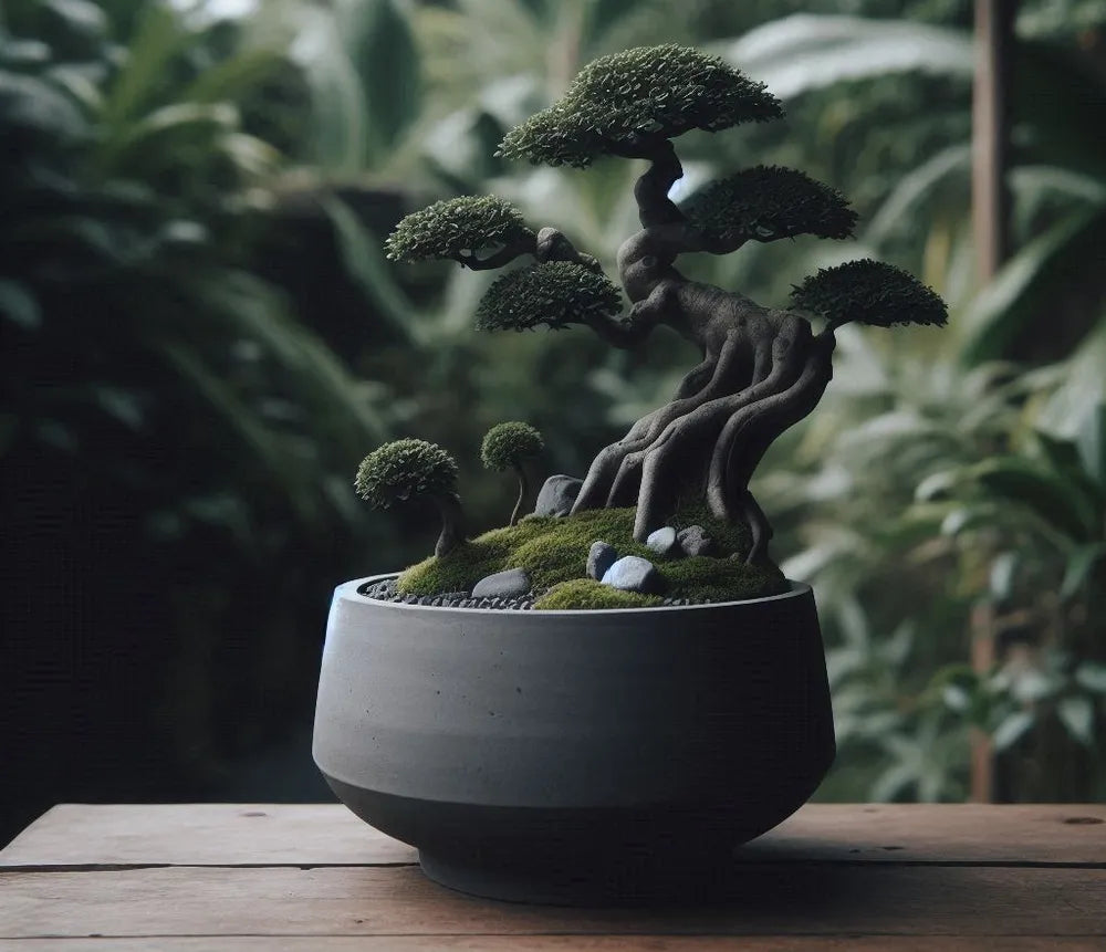 Minimalist Bonsai Pot Bowl