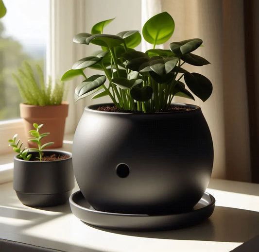 Round Self-Watering Planter