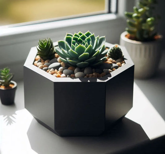 Design Octagonal Succulents Planter